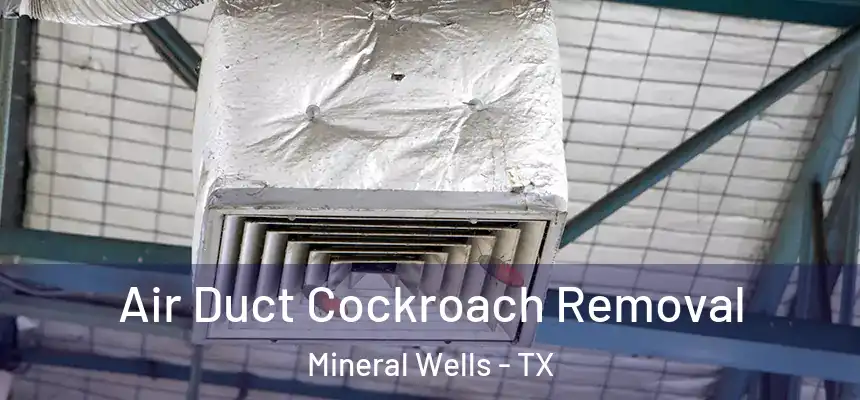 Air Duct Cockroach Removal Mineral Wells - TX
