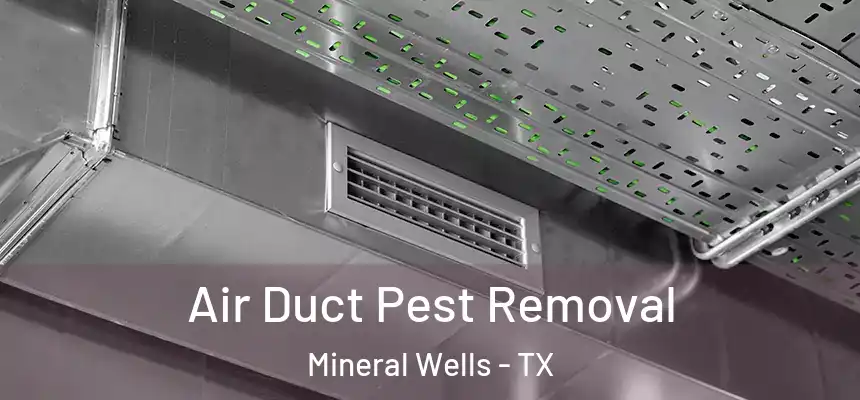  Air Duct Pest Removal Mineral Wells - TX