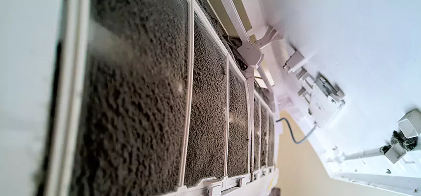 Preventive Air Duct Bacteria Removal in Mineral Wells