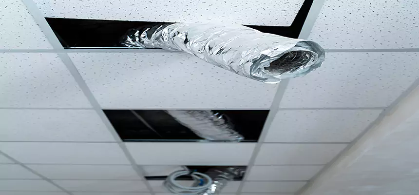 Our Air Duct Pet Hair Removal Services in Mineral Wells, TX