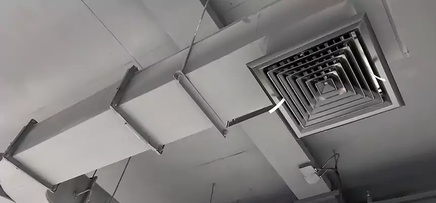 Restorative Allergy Relief Vent Cleaning – Coil, Blower & Housing Detail in Mineral Wells