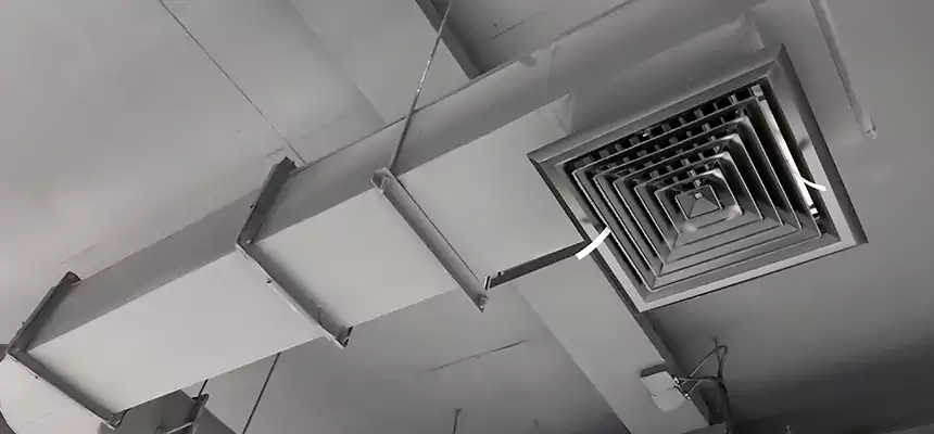 Our Pest Removal From Ducts Services in Mineral Wells, TX