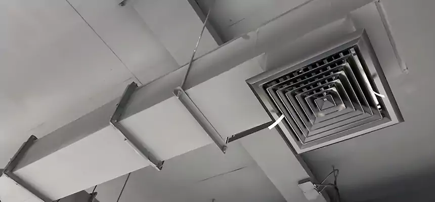 Our Rodent Droppings In Vents Services in Mineral Wells, TX