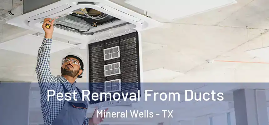  Pest Removal From Ducts Mineral Wells - TX