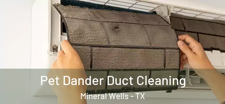  Pet Dander Duct Cleaning Mineral Wells - TX