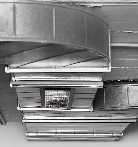 Professional Air Duct Pest Removal in Mineral Wells, TX