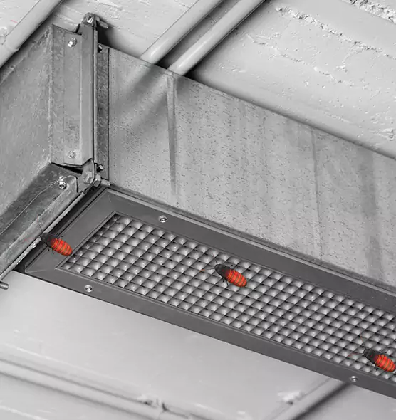Affordable Insect Removal from Air Ducts in Mineral Wells, TX