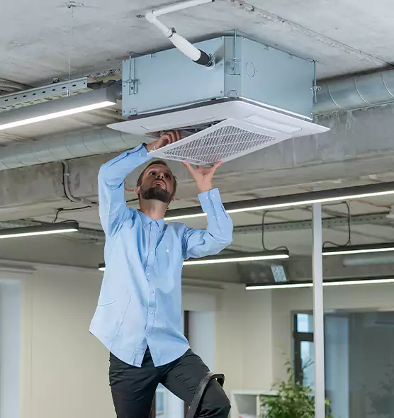 Advanced Rodent Droppings In Vents in Mineral Wells, TX