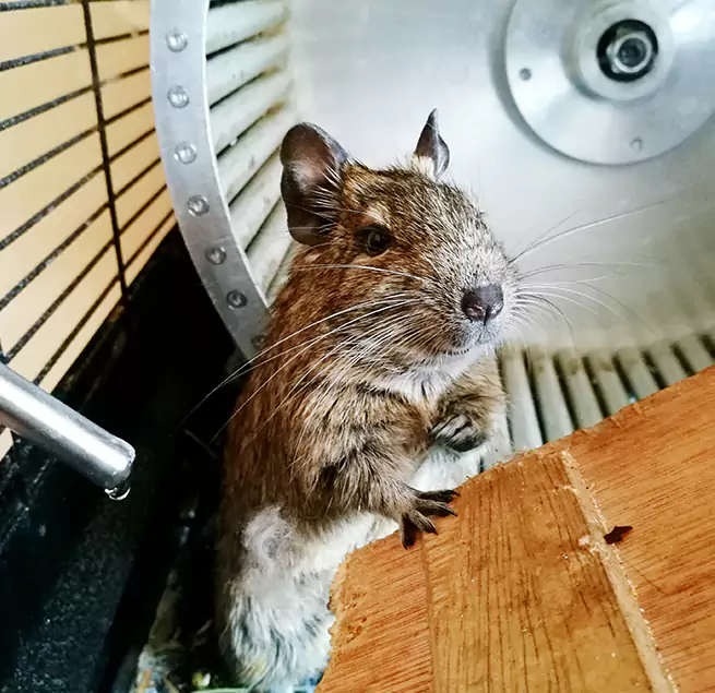 Why Homeowners & Businesses Trust Us Mineral Wells, TX