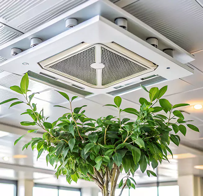 Why Homeowners & Businesses Trust Us in Mineral Wells, TX